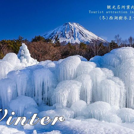 Station Villa Plaisir Mt. Fuji Fujikawaguchiko Exterior foto